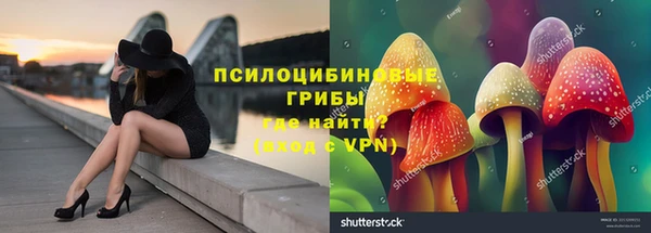 соль ск Алексеевка