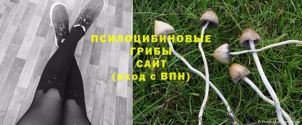 прущая мука Алексин