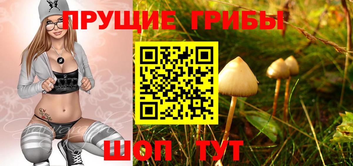 Галлюциногенные грибы MAGIC MUSHROOMS  Псилоцибиновые грибы GOLDEN TEACHER  Вход с VPN  Нефтекумск 