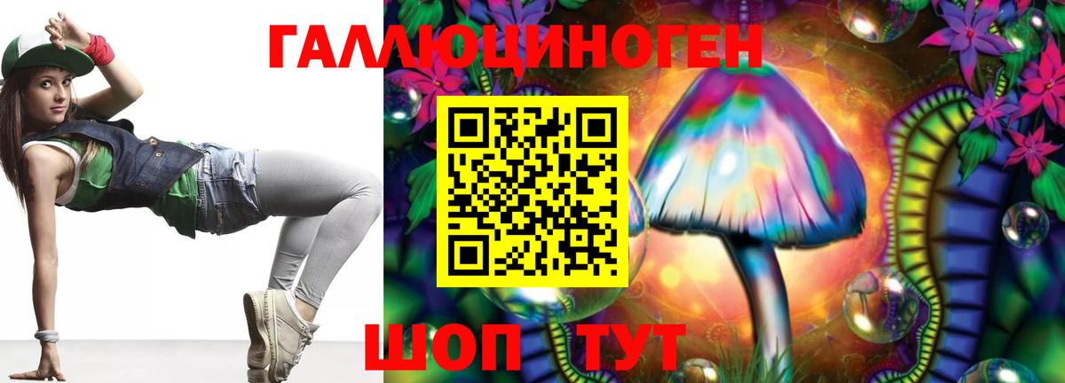 Псилоцибиновые грибы Psilocybine cubensis Нефтекумск
